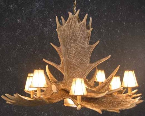 Moose Antler Chandeliers