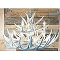 Pure White Antler Chandeliers
