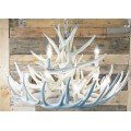 Pure White Antler Chandeliers