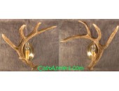 Cast Whitetail 1 Antler Wall Sconces (price is for 2 sconces)