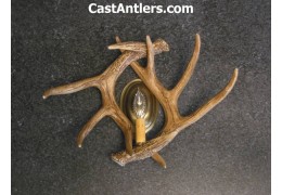Cast Whitetail 2 Antler Wall Sconces (price is for 2 sconces)