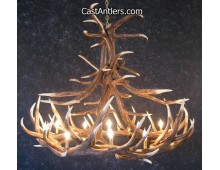 Elk 12 Cast Antler Chandelier