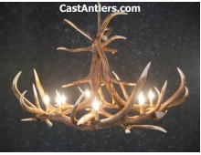 Elk 6 Cast Antler Chandelier