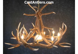 Elk 6 Cast Antler Chandelier w/ Downlight