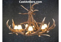 Elk 6 Cast Antler  Chandelier w/ Rawhide Shades