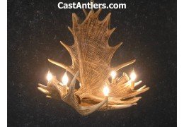 Moose 4 Cast Antler Chandelier