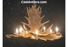 Moose 6 Cast Antler Chandelier w/ Downlight