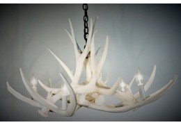 **Pure White** Mule Deer 6 Cast Antler Chandelier 