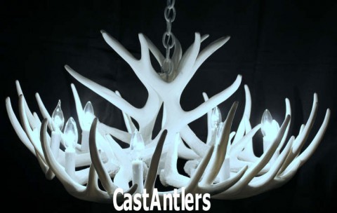 **Pure White** Whitetail 12 Cast Cascade Antler Chandelier