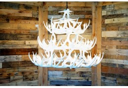 **Pure White**  Whitetail 42 Cast Antler Chandelier