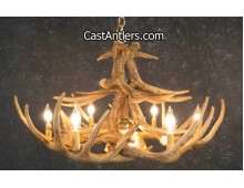 Whitetail 12 Cast Antler Chandelier w/ Downlight