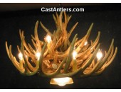 Whitetail 21 Cast Cascade Antler Chandelier w/ Downlight