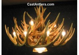 Whitetail 21 Cast Cascade Antler Chandelier w/ Downlight