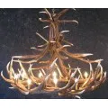 Elk Antler Chandeliers