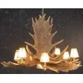 Moose Antler Chandeliers