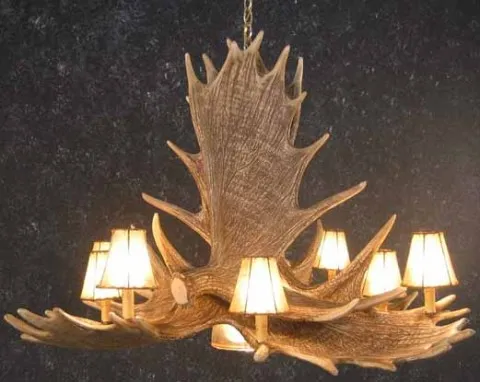 Moose Antler Chandeliers