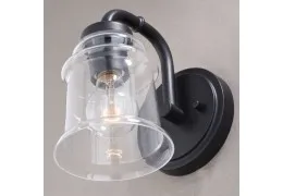 1-Light Black Farmhouse Vanity Light