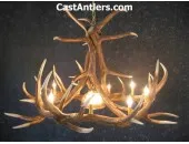 Elk 6 Cast Antler Chandelier w/ Downlight