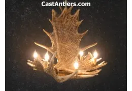 Moose 4 Cast Antler Chandelier