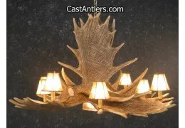 Moose 6 Cast Antler Chandelier w/ Downlight + Rawhide Shades