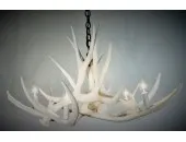 **Pure White** Mule Deer 6 Cast Antler Chandelier 