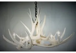 **Pure White** Mule Deer 6 Cast Antler Chandelier 