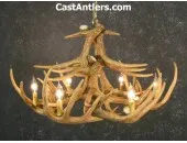 Whitetail 12 Cast Antler Chandelier