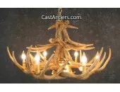 Whitetail 12 Cast Antler Chandelier w/ Downlight