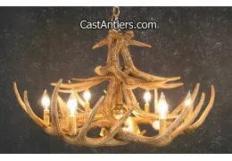 Whitetail 12 Cast Antler Chandelier w/ Downlight