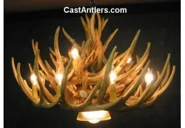 Whitetail 21 Cast Cascade Antler Chandelier w/ Downlight