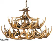 Whitetail 24 Cast Antler Chandelier