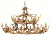 Whitetail 30 Cast Antler Chandelier