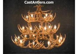 Whitetail 42 Cast Antler Chandelier