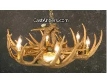 Whitetail 9 Cast Antler Chandelier w/ Downlight
