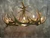 Elk 9 Cast Antler Chandelier w/ Downlight