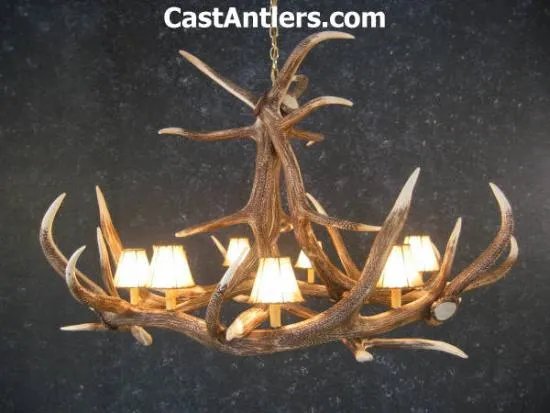 Elk 6 Cast Antler  Chandelier w/ Rawhide Shades