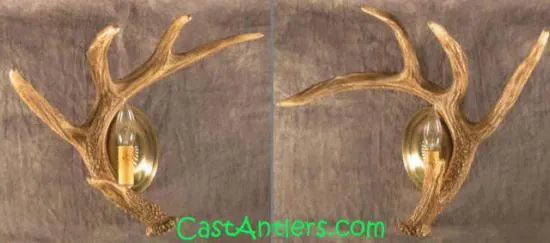 Cast Whitetail 1 Antler Wall Sconces (price is for 2 sconces)