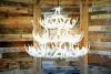 **Pure White**  Whitetail 42 Cast Antler Chandelier
