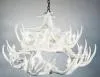 **Pure White** Whitetail 24 Cast Antler Chandelier