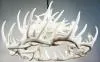 **Pure White** Whitetail 24 Cast Antler Chandelier