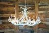 **Pure White** Elk 9 Cast Antler Chandelier