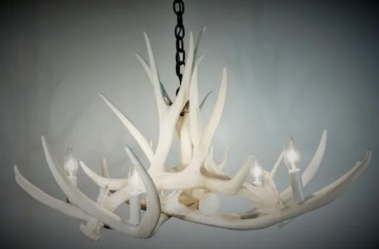 **Pure White** Mule Deer 6 Cast Antler Chandelier 