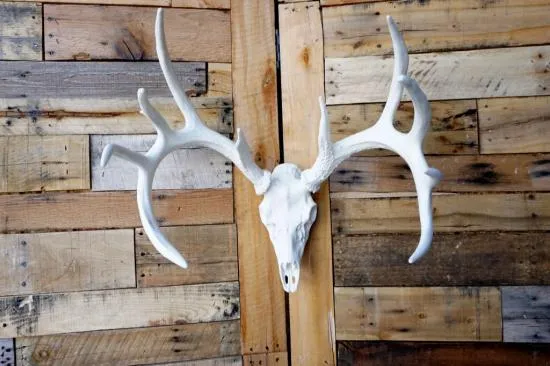 **Pure White** Cast Whitetail Deer European Mount
