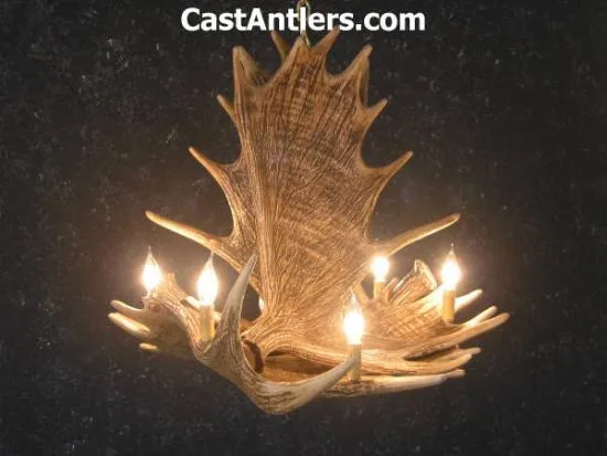 Moose 4 Cast Antler Chandelier