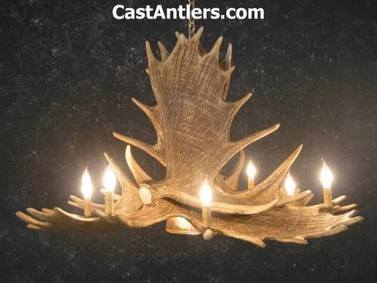 Moose 6 Cast Antler Chandelier w/ Downlight
