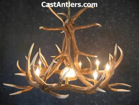 Elk 6 Cast Antler Chandelier w/ Downlight
