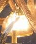 Elk 9 Cast Antler Chandelier w/ Downlight