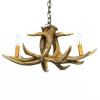 Whitetail 3 Cast Antler Chandelier/Pendant