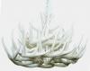 **Pure White** Whitetail 21 Cast Cascade Antler Chandelier