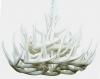 **Pure White** Whitetail 21 Cast Cascade Antler Chandelier